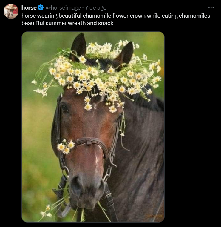 August 2025 horse
