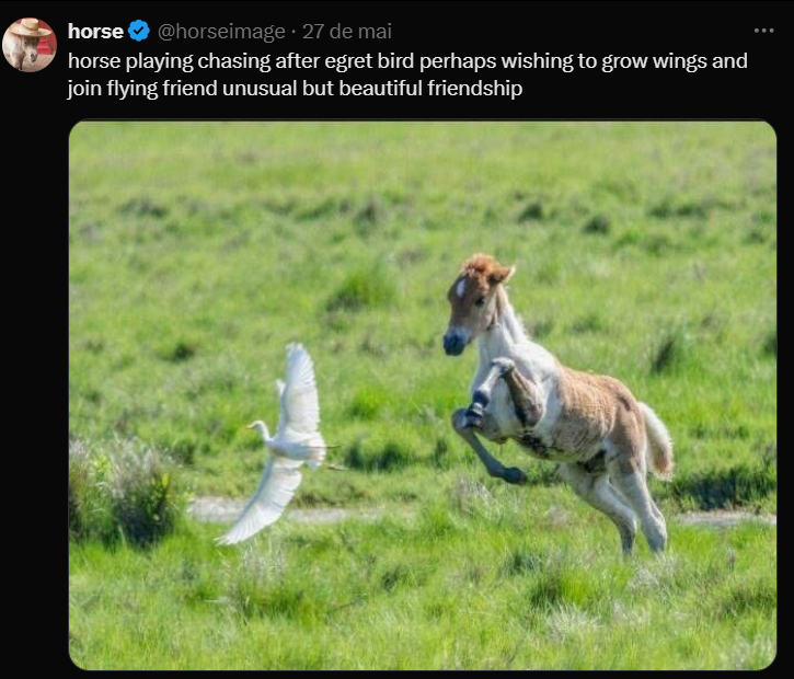 June 2025 Horse June 2025 horse