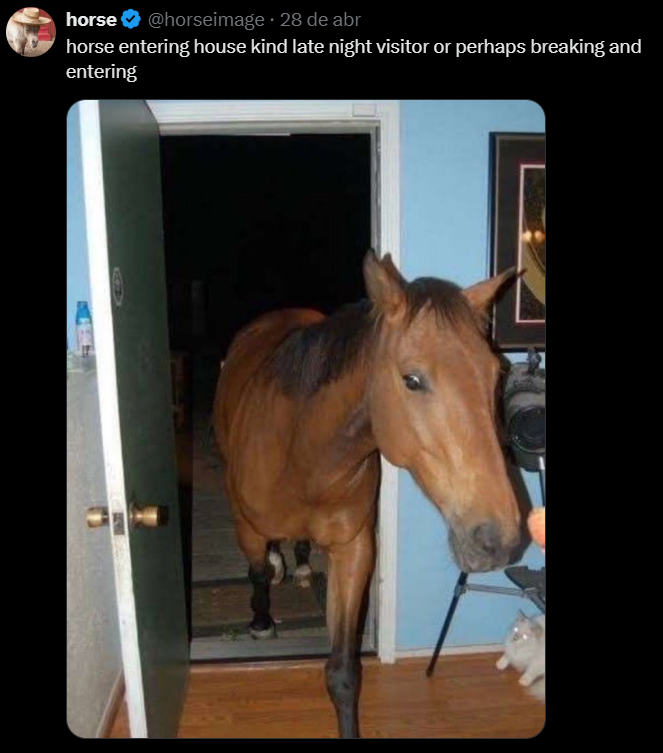 May 2025 Horse May 2025 horse