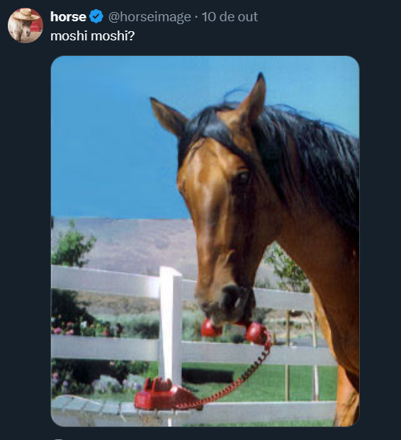 October 2025 Horse October 2025 horse