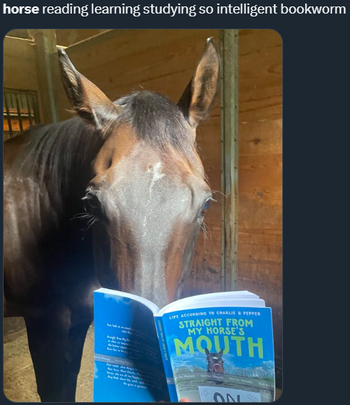 September 2025 horse